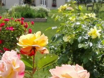 3e Marché aux plantes « Baptême de la Rose »