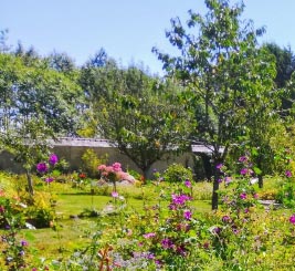 Atelier permaculture