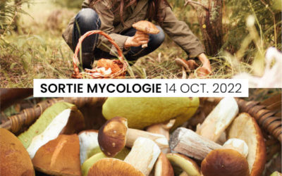 Mycologie