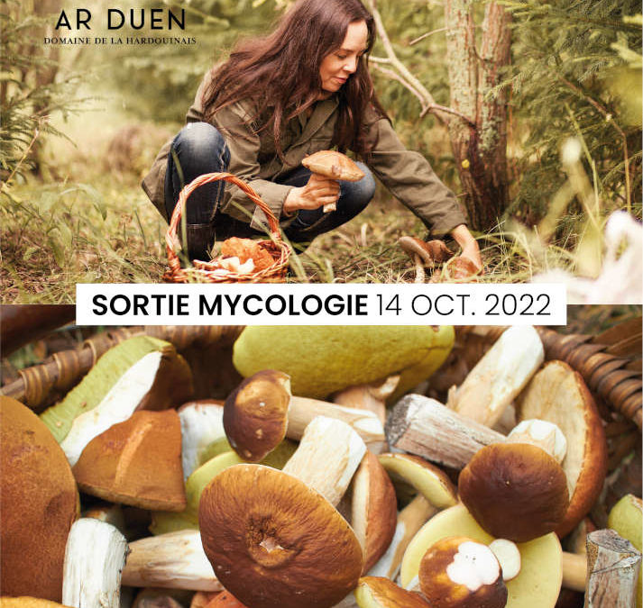 Mycologie