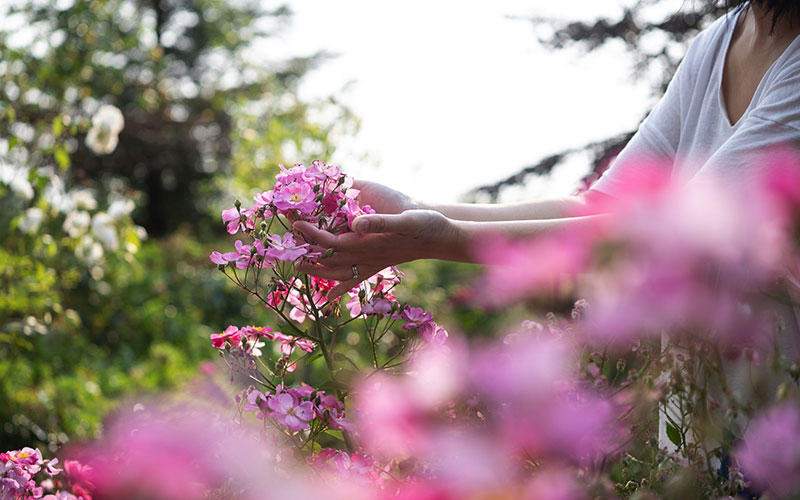 Visite du jardin
