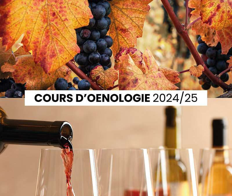 Cours oenologie 2024/2025