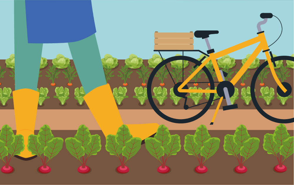Fête du potager