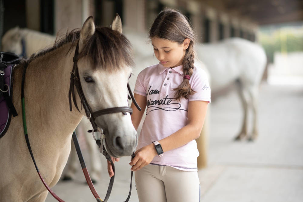 Equitation