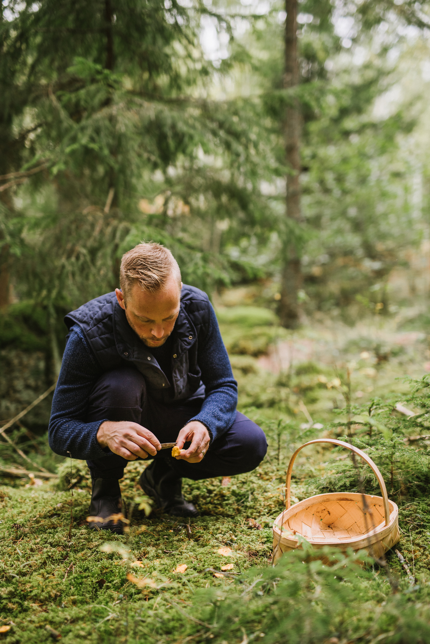 cueillette champignons